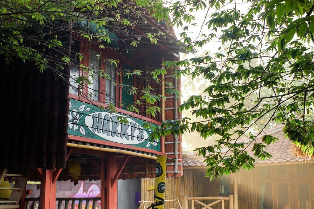 Harry'S Ocean House Watukarung Homestay Kalak Εξωτερικό φωτογραφία