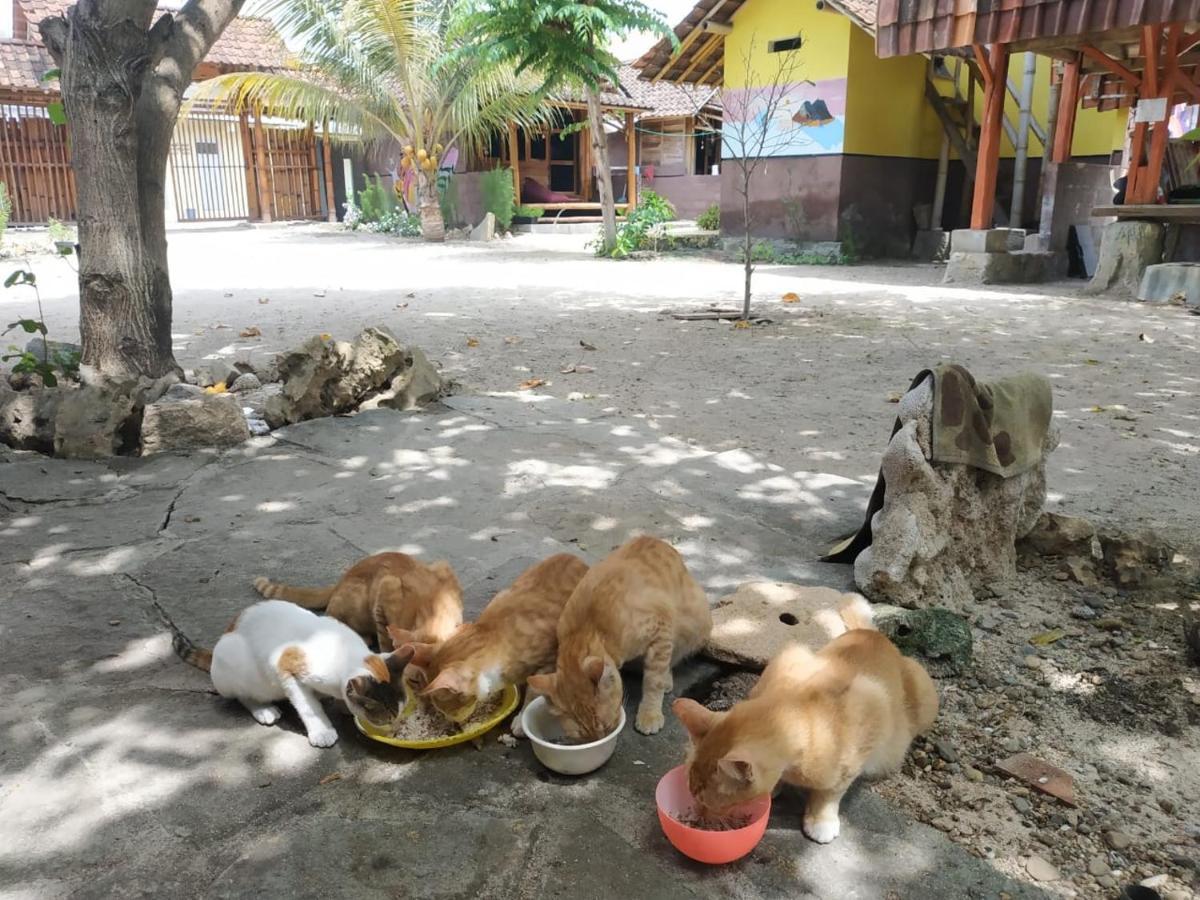 Harry'S Ocean House Watukarung Homestay Kalak Εξωτερικό φωτογραφία